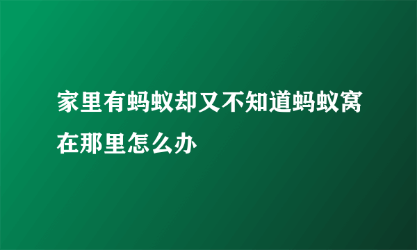 家里有蚂蚁却又不知道蚂蚁窝在那里怎么办