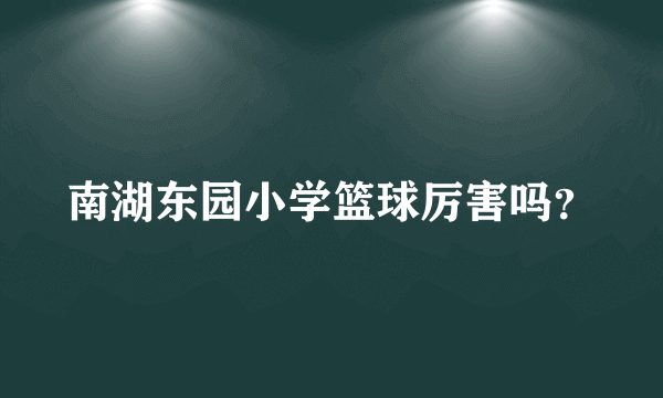 南湖东园小学篮球厉害吗？