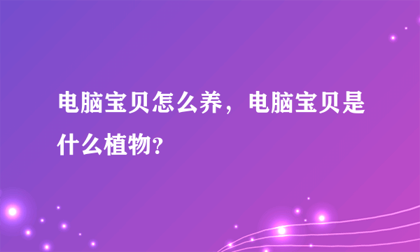 电脑宝贝怎么养，电脑宝贝是什么植物？