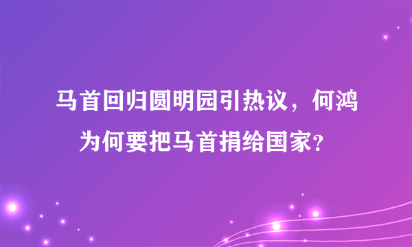 马首回归圆明园引热议，何鸿燊为何要把马首捐给国家？