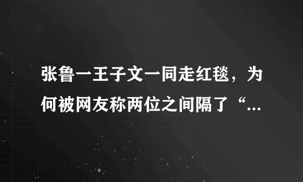 张鲁一王子文一同走红毯，为何被网友称两位之间隔了“一堵墙”？