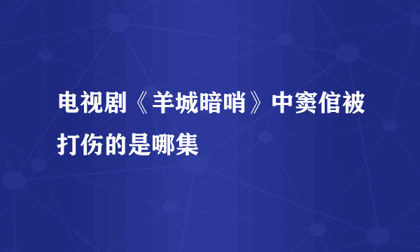 电视剧《羊城暗哨》中窦倌被打伤的是哪集