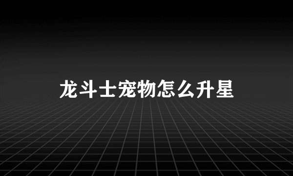 龙斗士宠物怎么升星