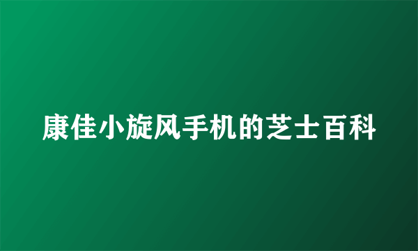 康佳小旋风手机的芝士百科