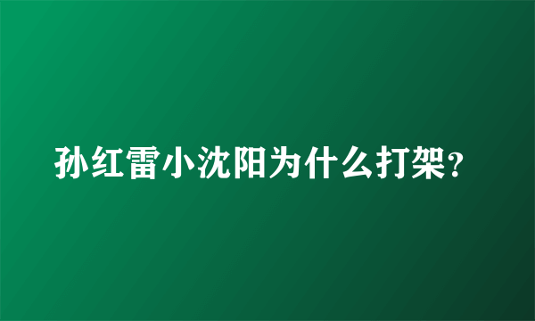 孙红雷小沈阳为什么打架？