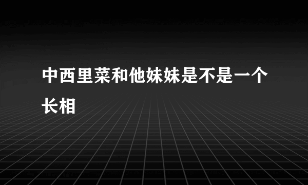 中西里菜和他妹妹是不是一个长相