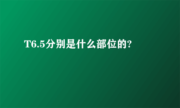 T6.5分别是什么部位的?