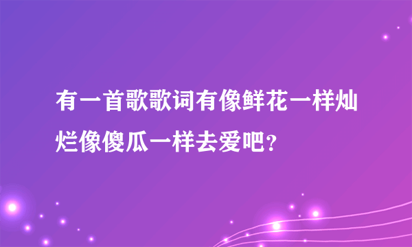 有一首歌歌词有像鲜花一样灿烂像傻瓜一样去爱吧？