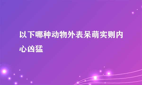 以下哪种动物外表呆萌实则内心凶猛