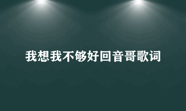 我想我不够好回音哥歌词