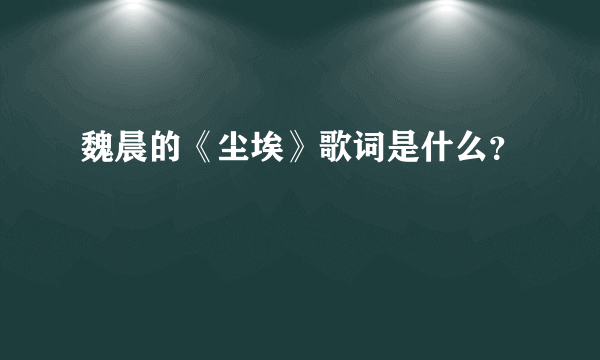 魏晨的《尘埃》歌词是什么？