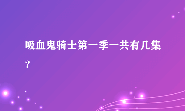 吸血鬼骑士第一季一共有几集？