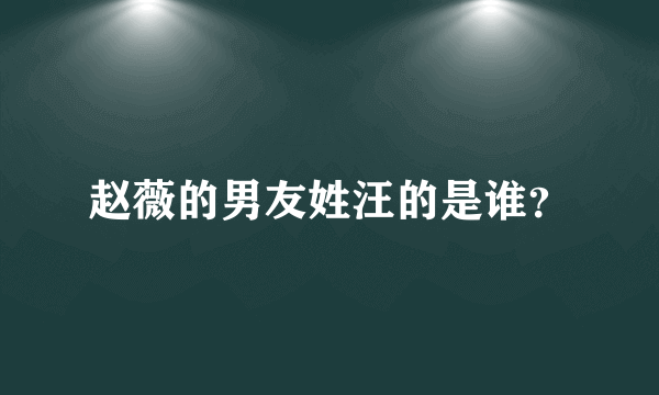 赵薇的男友姓汪的是谁？