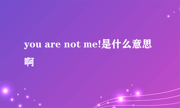 you are not me!是什么意思啊