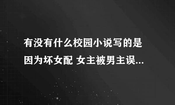 有没有什么校园小说写的是 因为坏女配 女主被男主误会 但后来还是在一起了【