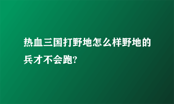 热血三国打野地怎么样野地的兵才不会跑?