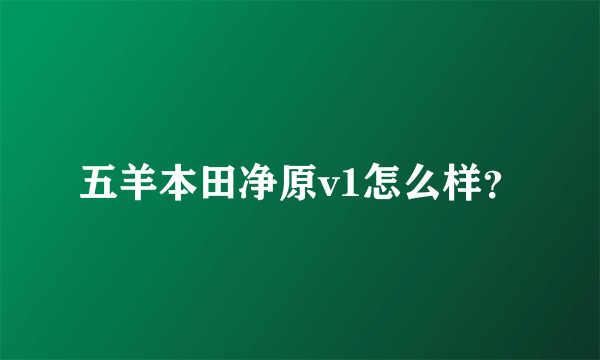 五羊本田净原v1怎么样？