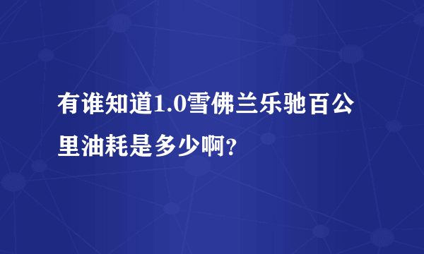 有谁知道1.0雪佛兰乐驰百公里油耗是多少啊？