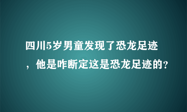 四川5岁男童发现了恐龙足迹，他是咋断定这是恐龙足迹的？