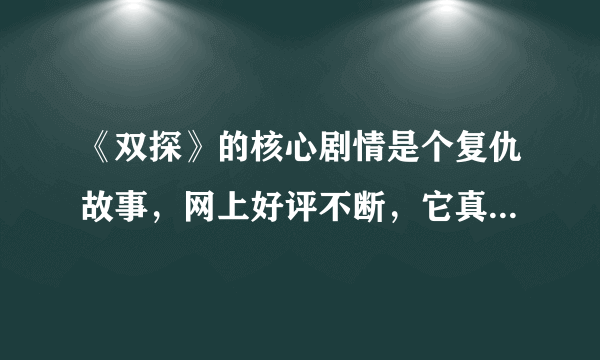 《双探》的核心剧情是个复仇故事，网上好评不断，它真的实至名归吗？