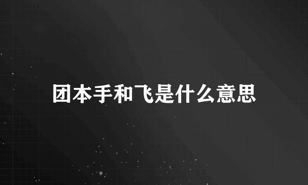 团本手和飞是什么意思