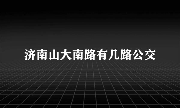 济南山大南路有几路公交