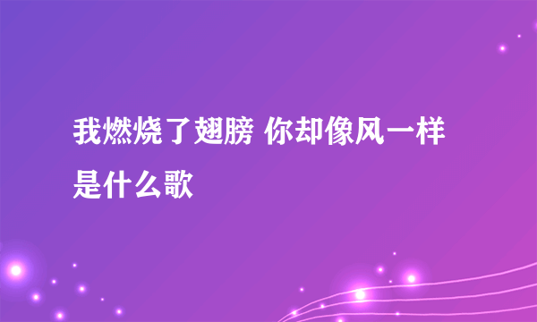 我燃烧了翅膀 你却像风一样是什么歌