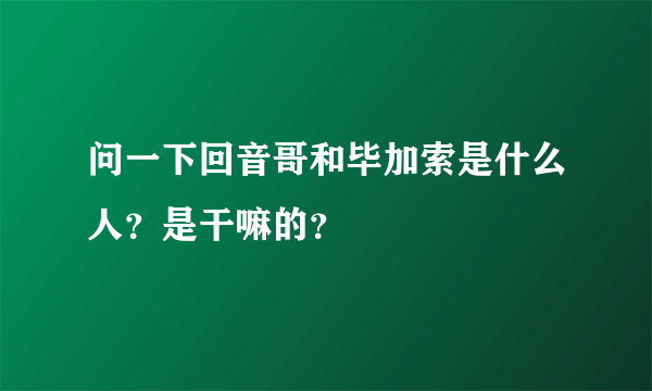 问一下回音哥和毕加索是什么人？是干嘛的？