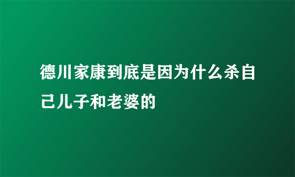 德川家康到底是因为什么杀自己儿子和老婆的