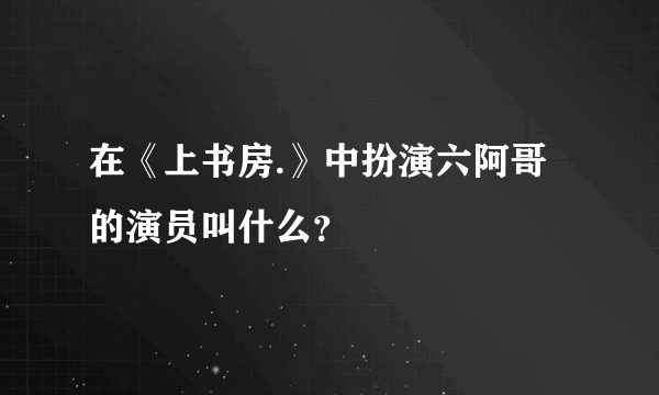 在《上书房.》中扮演六阿哥的演员叫什么？