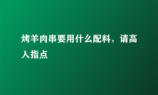 烤羊肉串要用什么配料，请高人指点