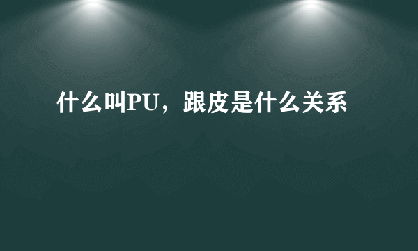 什么叫PU，跟皮是什么关系