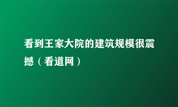 看到王家大院的建筑规模很震撼（看道网）