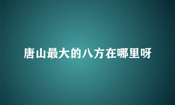 唐山最大的八方在哪里呀