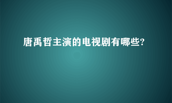 唐禹哲主演的电视剧有哪些?