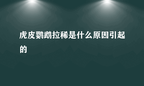 虎皮鹦鹉拉稀是什么原因引起的