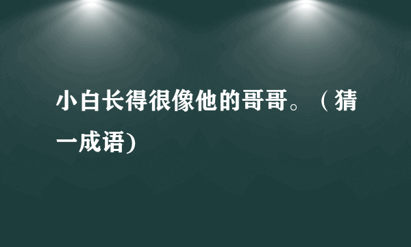 小白长得很像他的哥哥。（猜一成语)