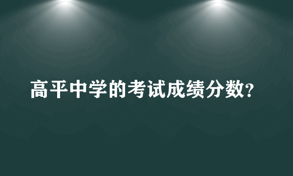 高平中学的考试成绩分数？