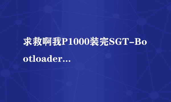 求救啊我P1000装完SGT-Bootloader-Patch-v1.00.apk