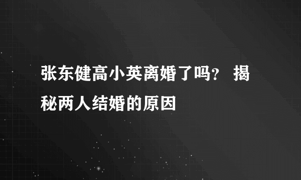 张东健高小英离婚了吗？ 揭秘两人结婚的原因