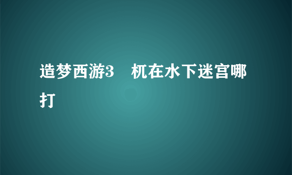 造梦西游3梼杌在水下迷宫哪打