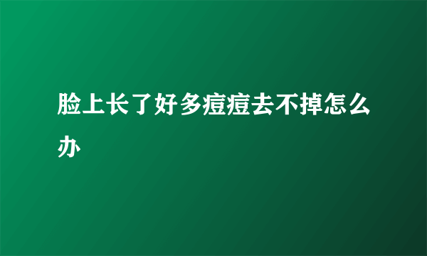 脸上长了好多痘痘去不掉怎么办