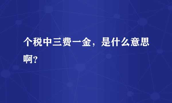 个税中三费一金，是什么意思啊？