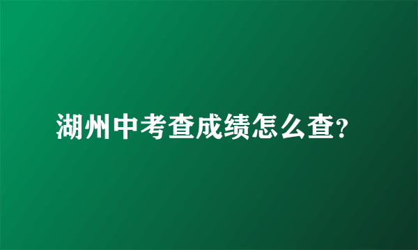 湖州中考查成绩怎么查？