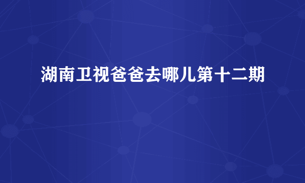 湖南卫视爸爸去哪儿第十二期