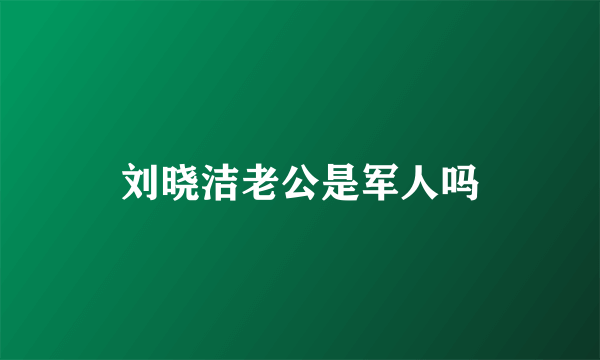 刘晓洁老公是军人吗