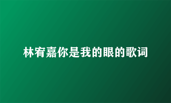 林宥嘉你是我的眼的歌词