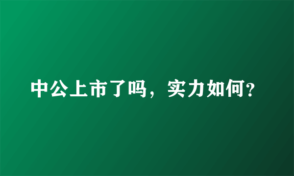 中公上市了吗，实力如何？