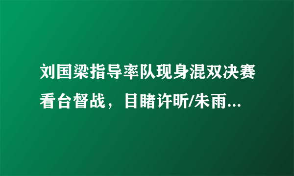 刘国梁指导率队现身混双决赛看台督战，目睹许昕/朱雨玲击溃日乒组合，你怎么看？