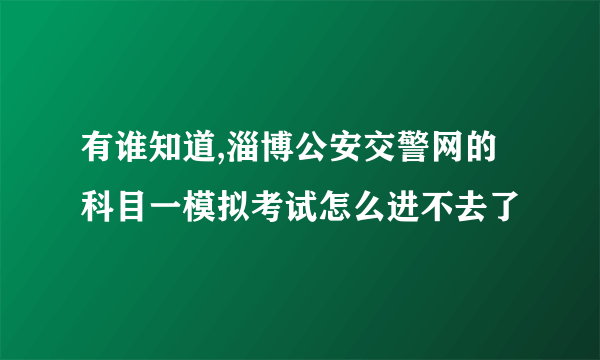 有谁知道,淄博公安交警网的科目一模拟考试怎么进不去了